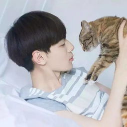 好男不养猫知道不我呸
