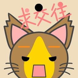 求系列猫咪头像