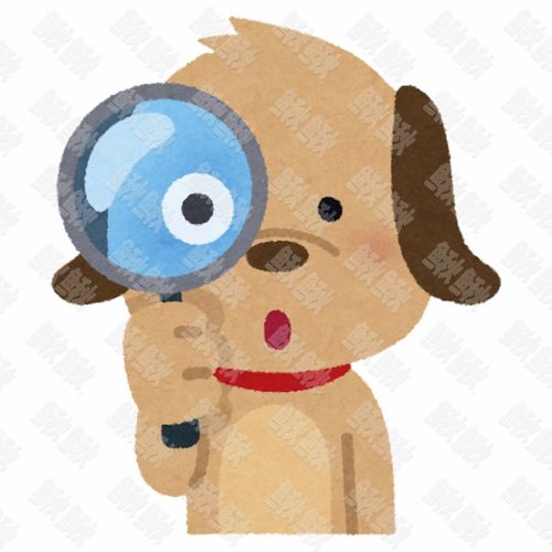 拿着放大镜看仔细观察的小狗狗猫咪小猫手绘卡通插画手绘png儿童插画免扣素材1阿猫阿狗