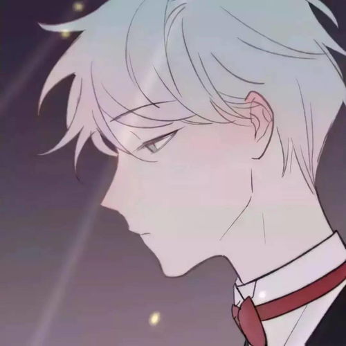 一眼就沦陷的男女生动漫头像