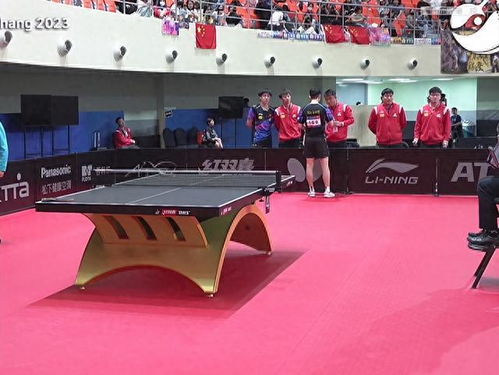 乒乓球亚洲锦标赛中国男团30横扫香港队,小胖大头和龙队立功