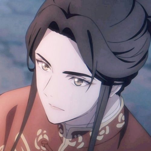 动漫头像新娘子谢怜