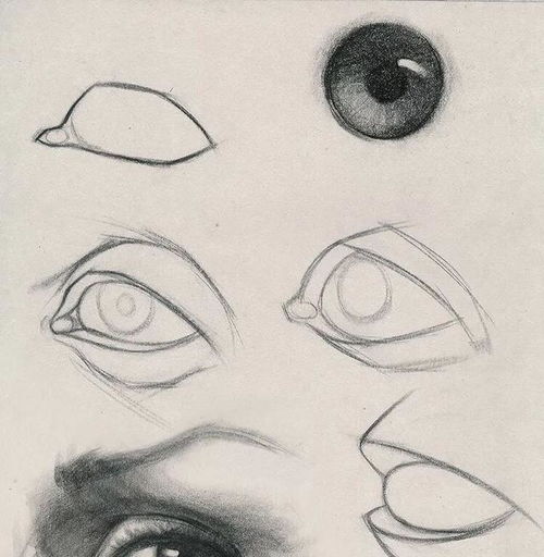难得一见,各个角度的眼睛画法,马克笔,素描,漫画人物都有了