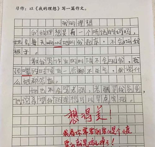 小学生作文我的理想走红,老师边批边笑,网友段子手