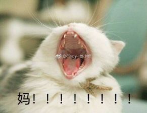 每日轻松一刻7月2日不就是叫了个鸡吗大惊小怪