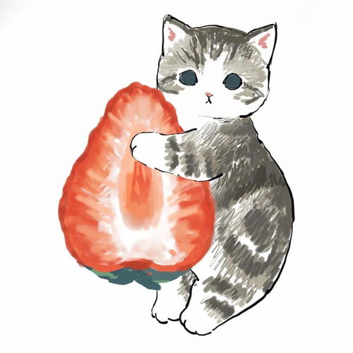 笑疯这些神经猫太太太太太魔性了