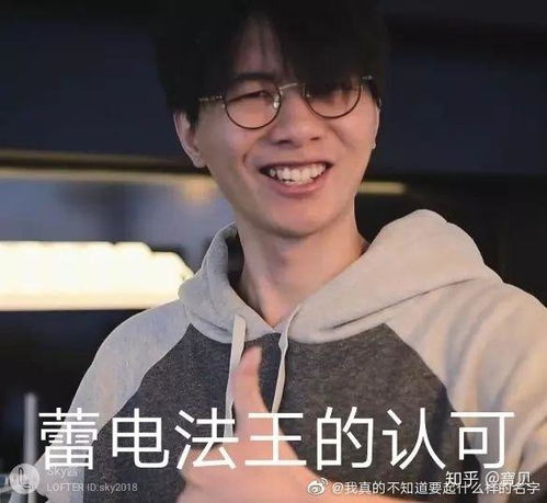 想深入了解上海zoo,可以看哪些视频