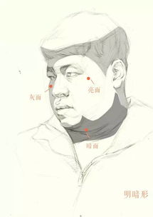 素描一步步教你怎么去画好人物头像素描