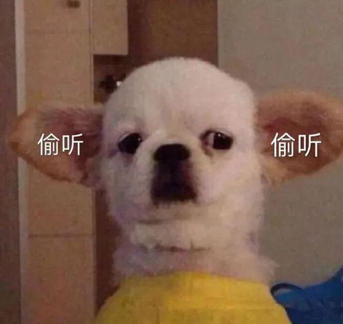 吉大开学没等到,却等到了电影院开门