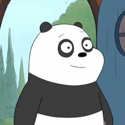 这个图片出之哪里