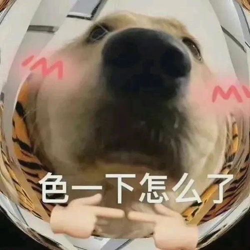 涩涩专用表情包