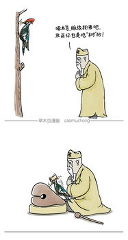 长颈鹿睡了兔子xoxo方便的时候很方便