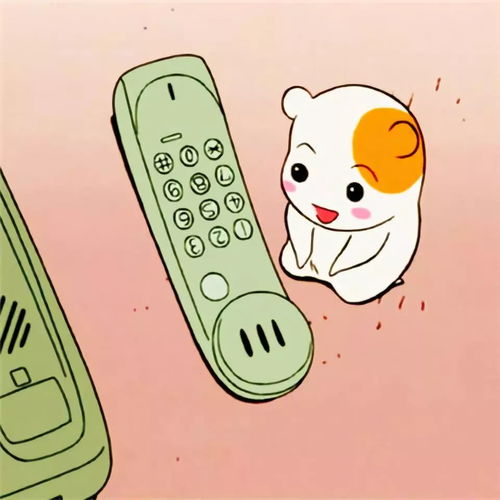 胎教故事路上的南瓜