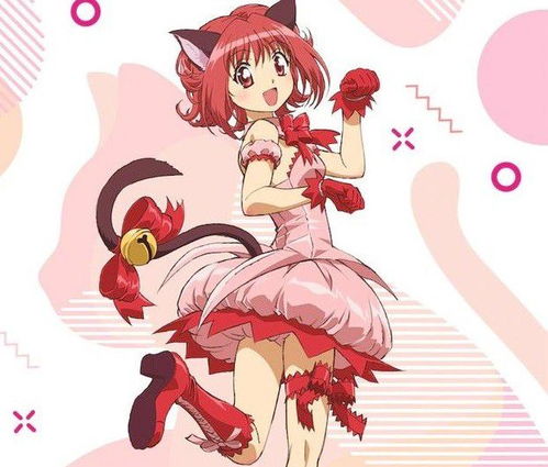 东京猫猫已经打算出新版,可惜作者看不到了