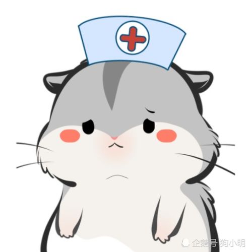 无标题