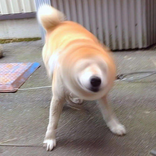 个性微信头像
