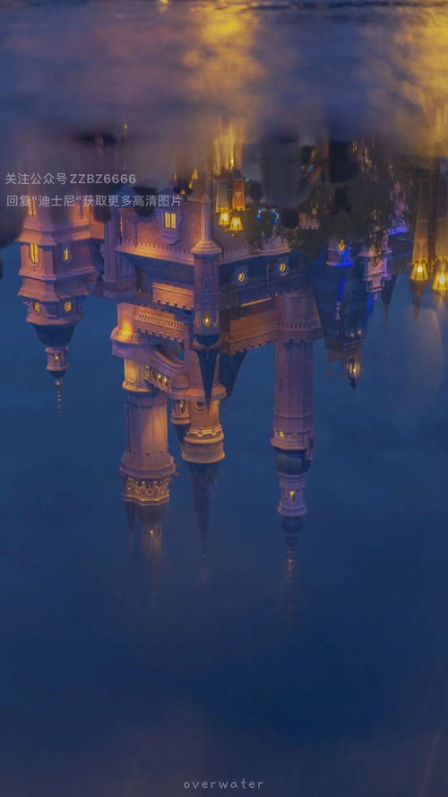 迪士尼烟花城堡抖音热门背景壁纸