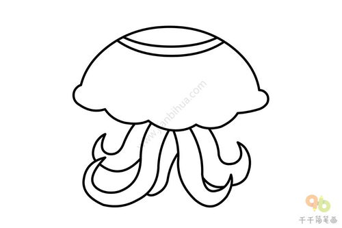 8种海洋动物简笔画图片大全
