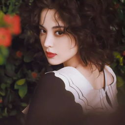 美女古力娜扎