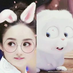 就是这么自信赵丽颖变身萌萌赵小兔网友直呼我要把她抱回家