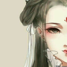 山有木兮素描天气高音质在线试听山有木兮歌词歌曲下载酷狗音乐