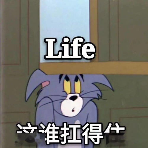 当诈骗团伙遇上歪果仁后...求求你们先考个四级吧