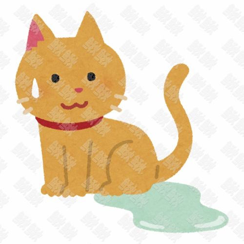 因生病岁数大漏尿憋不住尿的小狗狗猫咪小猫手绘卡通插画手绘png儿童插画免扣素材1阿猫阿狗