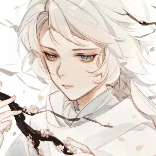 动漫男头古风神明