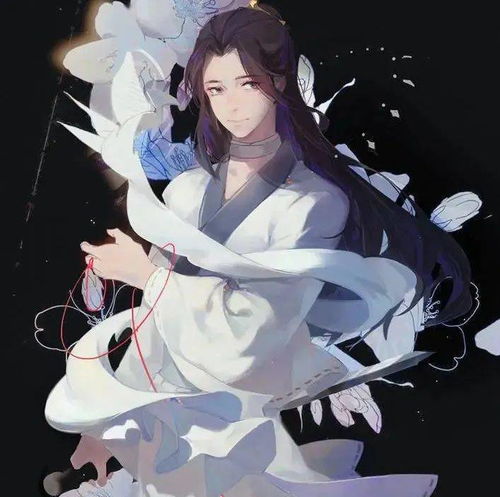 天官赐福动漫壁纸哥哥,成亲吧