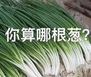 表情包食物怼人表情包