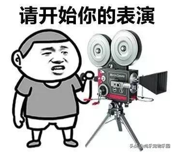 老妈拿着手机跑过来说女儿,你咋存了这么多和尚的号码啊