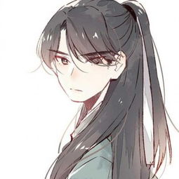 去月球胡佳案关于驴一样的男生游戏名