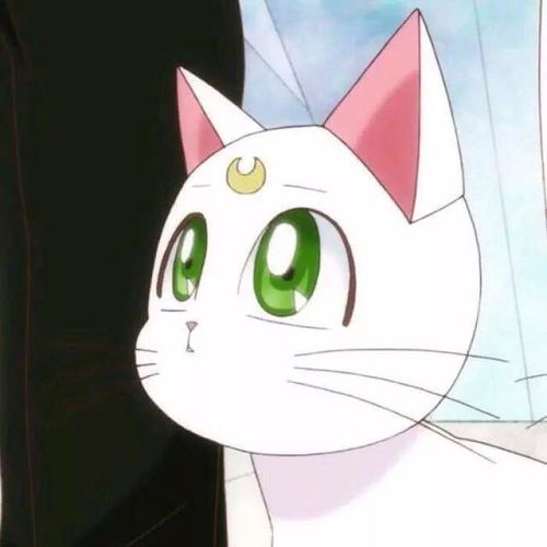 每日头像