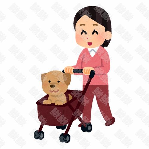主人推着坐在婴儿车里的小狗狗猫咪小猫手绘卡通插画手绘png儿童插画免扣素材2阿猫阿狗