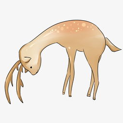 在低头的梅花鹿动物手绘插画图片素材其他格式下载动漫人物大全