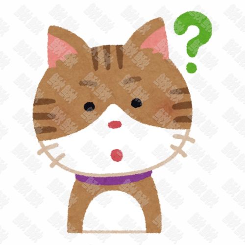 表情奇怪疑问怀疑的小狗狗猫咪小猫头像表情包手绘卡通插画手绘png儿童插画免扣素材1阿猫阿狗