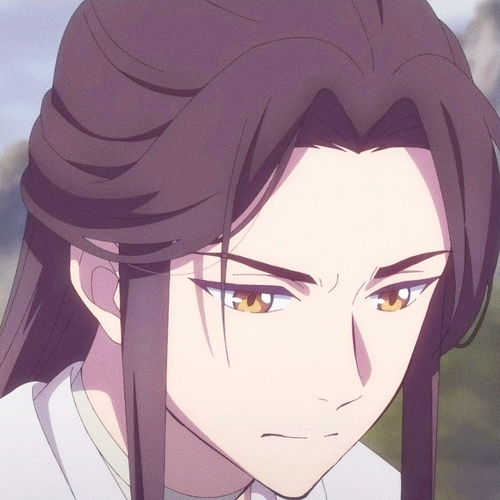 高清动漫男头天官赐福呆萌谢怜