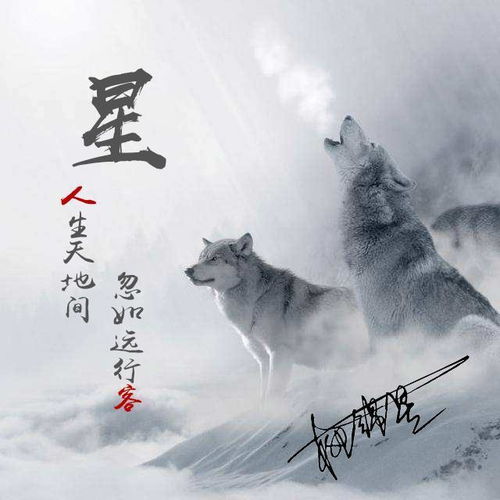 是时候换一波微信头像了,44张虎生肖3d特效微信头像,请查收啊