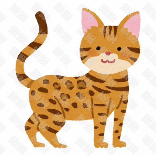 孟加拉豹猫的写实插画的小猫猫咪手绘卡通插画手绘png儿童插画免扣素材1阿猫阿狗