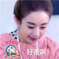 赵丽颖qq头像萌萌哒带字字