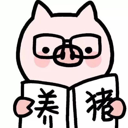 你生平用过最沙雕的表情包是什么