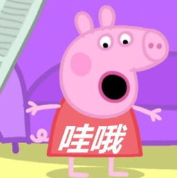 猪精大大的美拍美拍让短视频更好看