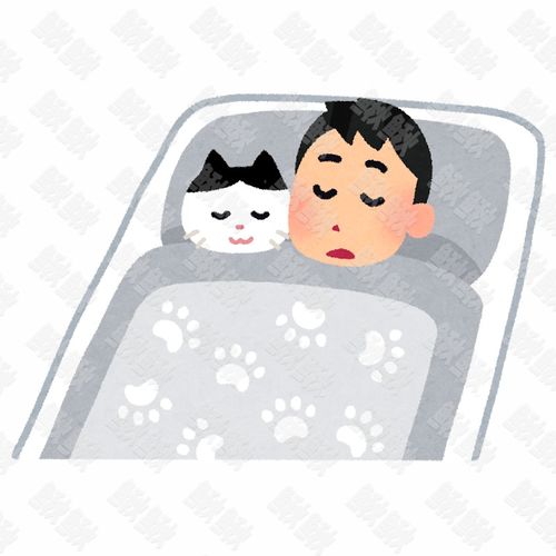 和主人一个被窝睡觉的小狗狗猫咪小猫手绘卡通插画手绘png儿童插画免扣素材1阿猫阿狗