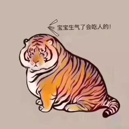 你真是我的掌上明猪表情包推送
