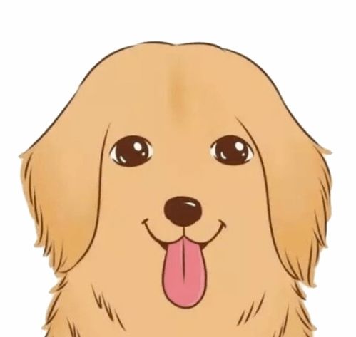 狗撞伤人,不能免责
