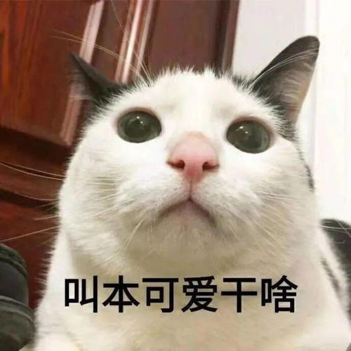 面相丨杀夫不用刀,八种克夫面相大解析下