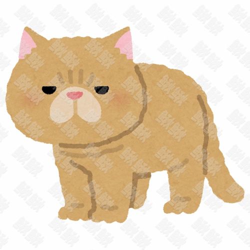异国短毛猫加菲猫的写实插画的小猫猫咪手绘卡通插画手绘png儿童插画免扣素材1阿猫阿狗