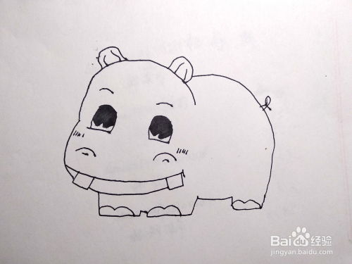 怎么画卡通简笔画河马如何画河马卡通儿童画