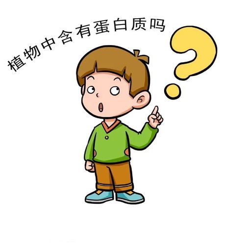 素食者怎么补充蛋白质这10种植物是绝佳的蛋白质来源