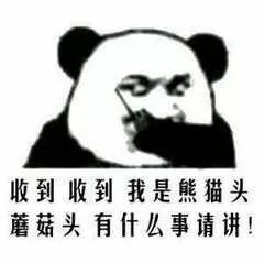 对讲机表情包收到请回复